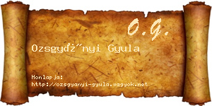 Ozsgyányi Gyula névjegykártya